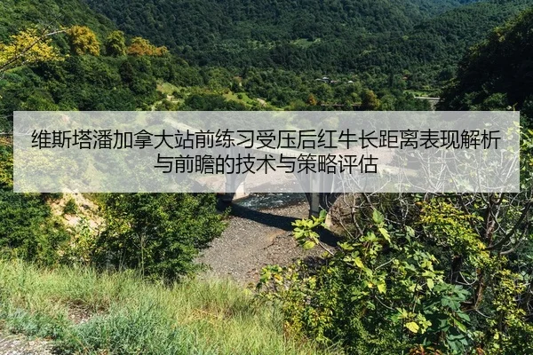 wei-si-ta-pan-jia-na-da-zhan-qian-lian-xi-shou-ya-hou-hong-niu-zhang-ju-li-biao-xian-jie-xi-yu-qian-zhan-de-ji-shu-yu-2-782.jpg