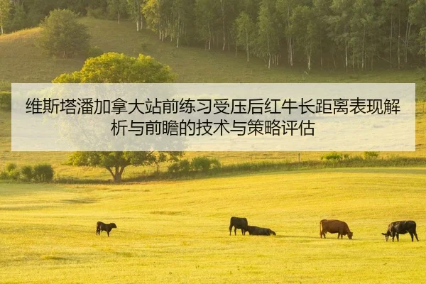 维斯塔潘加拿大站前练习受压后红牛长距离表现解析与前瞻的技术与策略评估